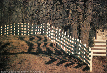 Fence along NC 50 north of Raleigh, NC