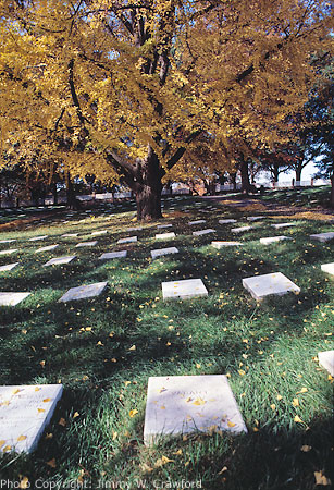 Old Salem graveyard